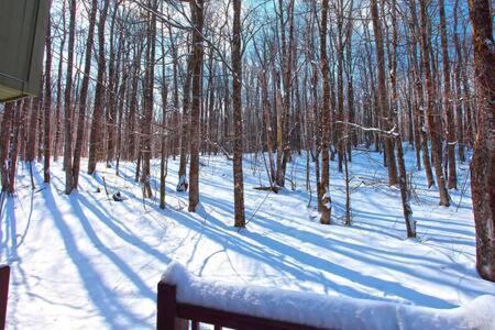 Wine Moose W Hot Tub Fireplace Sauna 9Min To Mt Snow Dover ภายนอก รูปภาพ